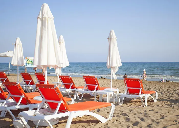 Orange Palace فندق سيدي